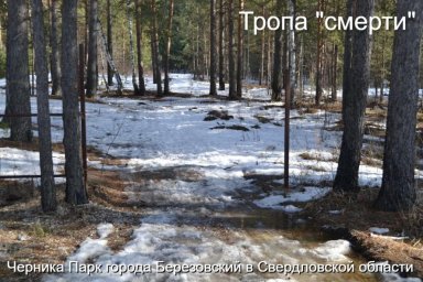 Жители Березовского в отчаянии от бесконтрольного распространения наркотиков Жители Березовского в отчаянии от бесконтрольного распространения наркотиков